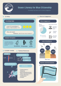 Need Assessment Infographic